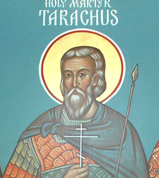 Datei:Tarachus, hl.jpg