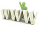 Www.png