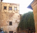 Sinai Brennender Dornenbusch.jpg